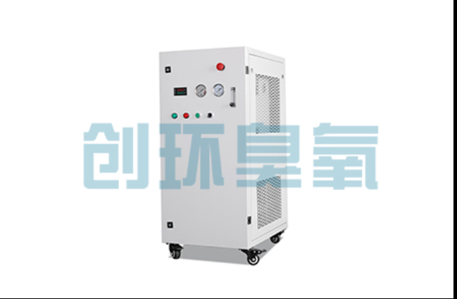 杭州工厂化养鲈必看:2026年臭氧发生器替代传统消毒的最新方案