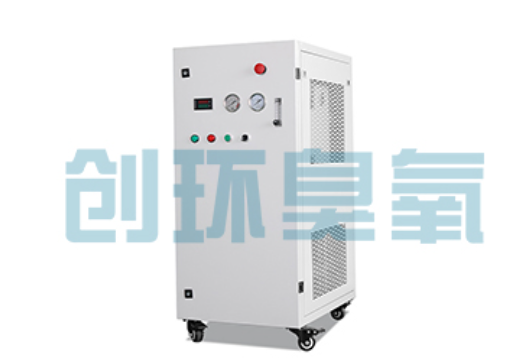 杭州石斑鱼养殖水质调控完整指南:臭氧发生器配置与操作步骤