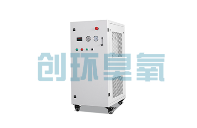 杭州比传统换水更高效?臭氧发生器在石斑鱼养殖中的水质净化原理解析